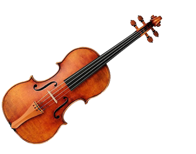 violin